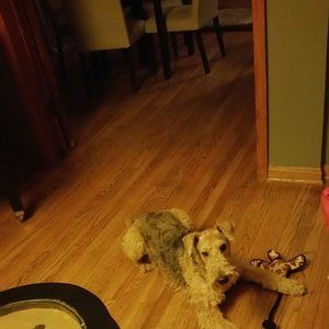 Meet your Posher, Ebonie